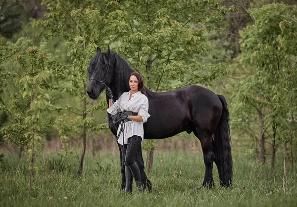 Beautiful Long Haired Girl Friesian Horse — Stock Photo, Image