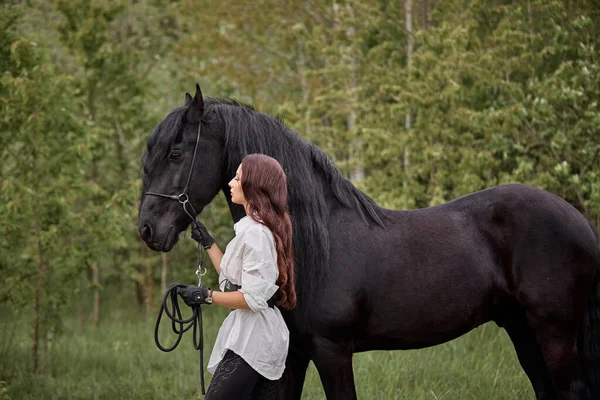 美しい長髪の女の子とともにフリジアの馬 — ストック写真