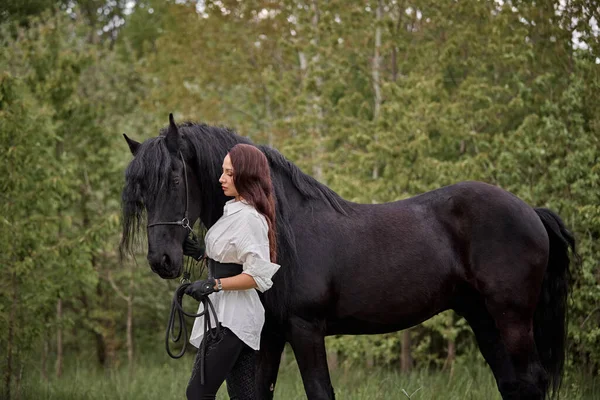 Όμορφο Μακρυμάλλικο Κορίτσι Friesian Άλογο — Φωτογραφία Αρχείου