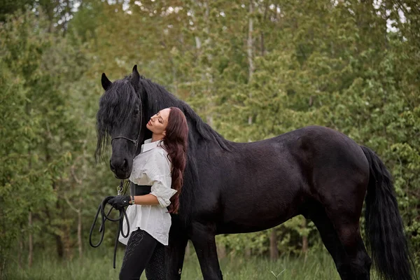 Όμορφο Μακρυμάλλικο Κορίτσι Friesian Άλογο — Φωτογραφία Αρχείου