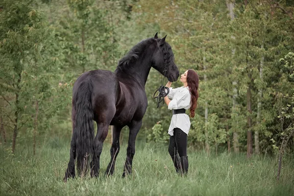 美しい長髪の女の子とともにフリジアの馬 — ストック写真