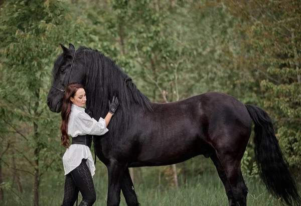Όμορφο Μακρυμάλλικο Κορίτσι Friesian Άλογο — Φωτογραφία Αρχείου