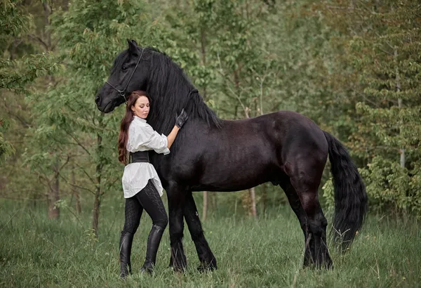Beautiful Long Haired Girl Friesian Horse — Stock Photo, Image