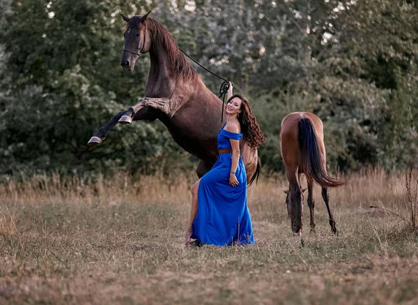 美丽的长发姑娘 穿着一件蓝色衣服 配一匹棕色的马 — 图库照片