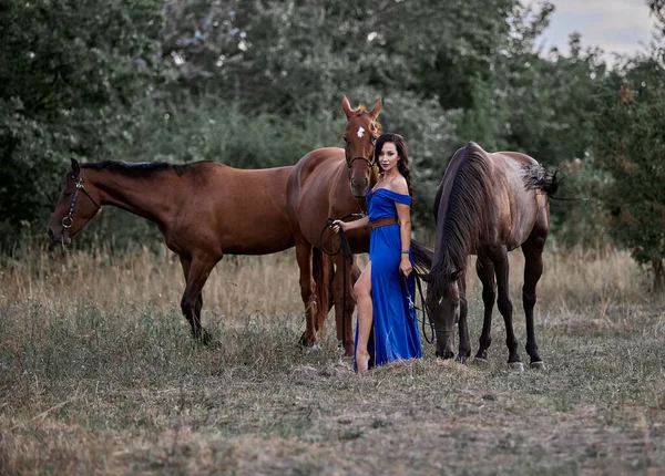 Menina Cabelos Longos Bonita Vestido Azul Lado Três Cavalos — Fotografia de Stock