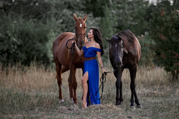 Menina Cabelos Longos Bonita Vestido Azul Lado Dois Cavalos — Fotografia de Stock