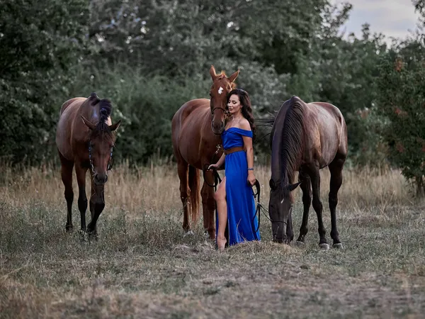 Vacker Långhårig Flicka Blå Klänning Bredvid Tre Hästar — Stockfoto