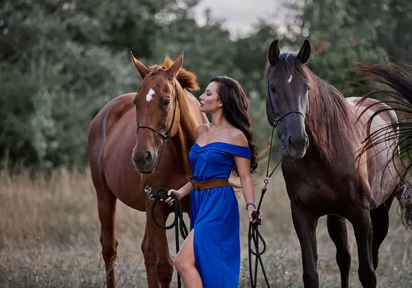 Menina Cabelos Longos Bonita Vestido Azul Lado Dois Cavalos — Fotografia de Stock