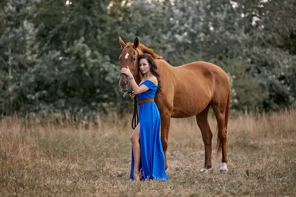 Schöne Langhaarige Mädchen Einem Blauen Kleid Mit Einem Roten Pferd — Stockfoto