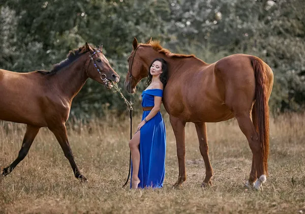 Menina Cabelos Longos Bonita Vestido Azul Lado Dois Cavalos — Fotografia de Stock