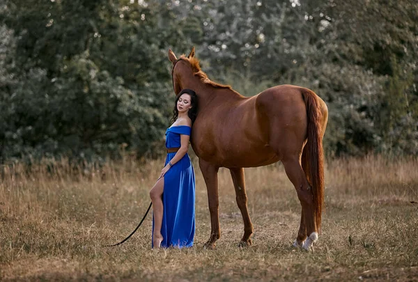 Schöne Langhaarige Mädchen Einem Blauen Kleid Mit Einem Roten Pferd — Stockfoto