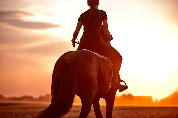 Meisje Paardrijden Een Fries Paard Een Veld Bij Zonsondergang — Stockfoto