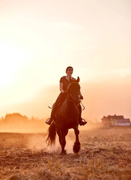 Meisje Paardrijden Een Fries Paard Een Veld Bij Zonsondergang — Stockfoto