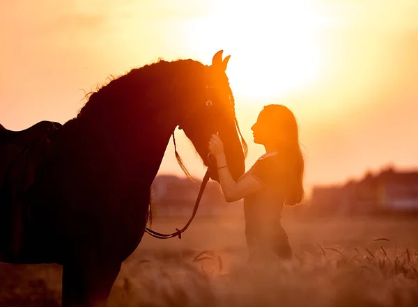 Ein Mädchen Neben Einem Friesenpferd Bei Sonnenuntergang Auf Einem Feld — Stockfoto