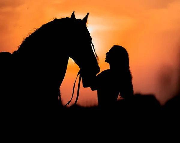 Silhouet Van Een Meisje Met Een Paard Bij Zonsondergang Het — Stockfoto