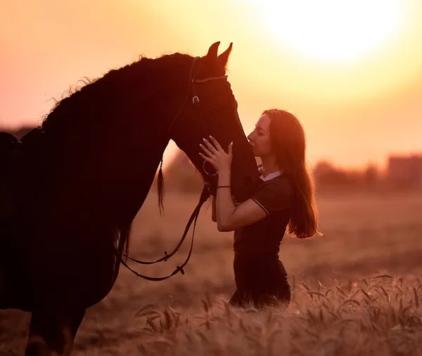 Girl Next Friesian Horse Sunset Field — Stock Photo, Image