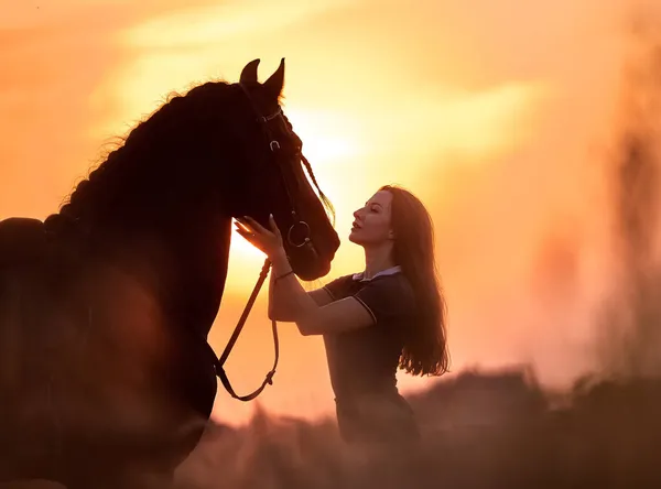 Ένα Κορίτσι Δίπλα Ένα Άλογο Friesian Στο Ηλιοβασίλεμα Ένα Χωράφι — Φωτογραφία Αρχείου