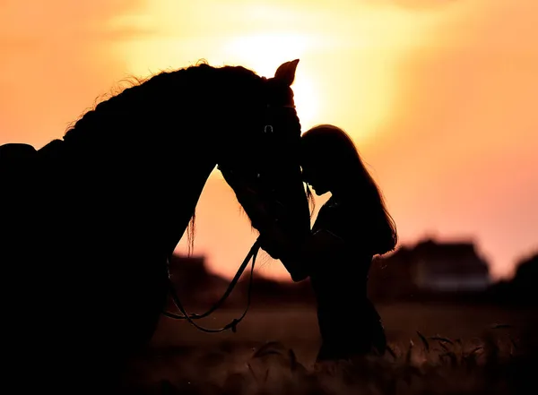 Silhouet Van Een Meisje Met Een Paard Bij Zonsondergang Het — Stockfoto