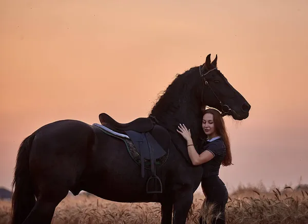 野原の日没時に馬の隣にいる女の子 — ストック写真