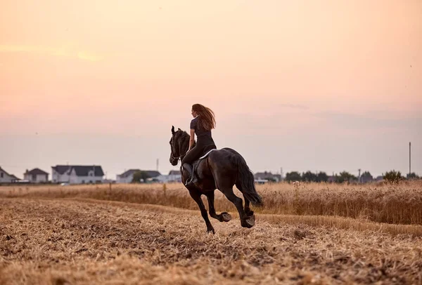 Meisje Paardrijden Een Fries Paard Een Veld Bij Zonsondergang — Stockfoto