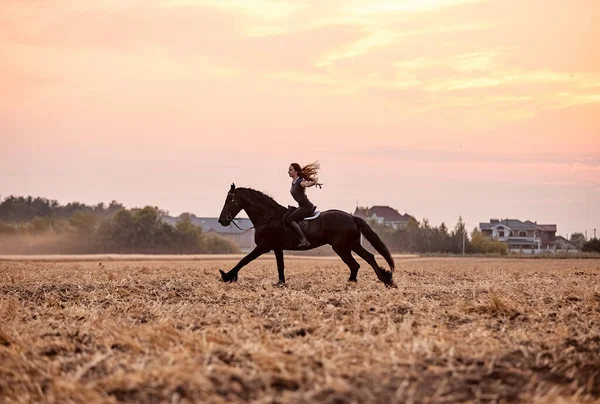 Κορίτσι Ιππασία Ένα Άλογο Friesian Ένα Χωράφι Στο Ηλιοβασίλεμα — Φωτογραφία Αρχείου