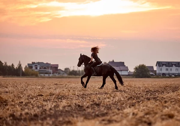 Meisje Paardrijden Een Fries Paard Een Veld Bij Zonsondergang — Stockfoto
