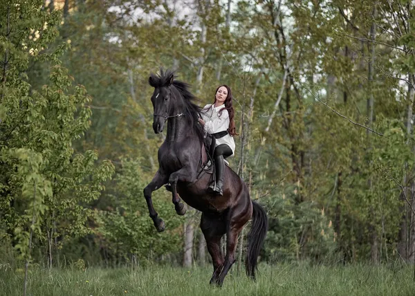 Hermosa Chica Pelo Largo Montando Caballo Imagen de stock