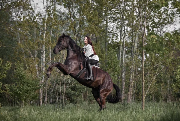 Vacker Långhårig Flicka Rider Häst Royaltyfria Stockbilder