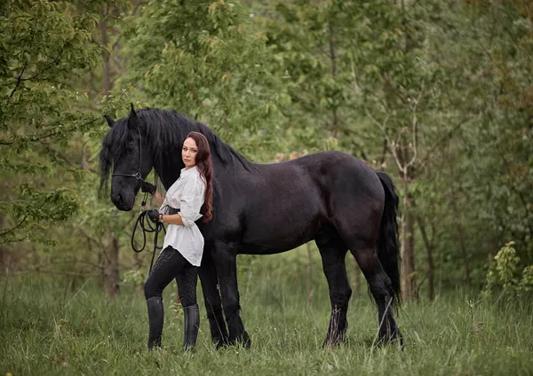 Vacker Långhårig Flicka Med Frisiska Häst Royaltyfria Stockfoton