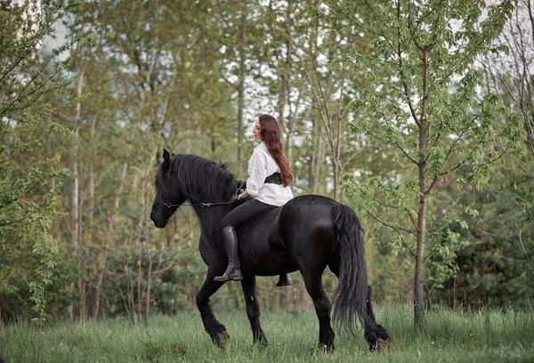 Vacker Långhårig Flicka Rider Frisiska Häst Royaltyfria Stockbilder
