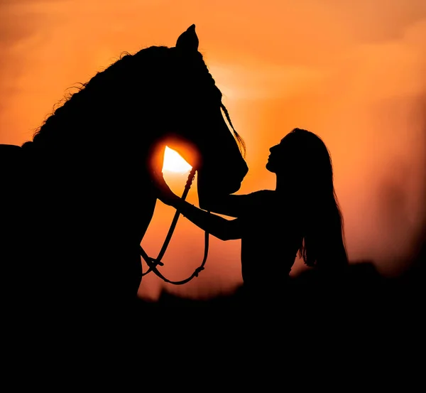 Silueta Una Chica Con Caballo Atardecer Campo Imagen de archivo