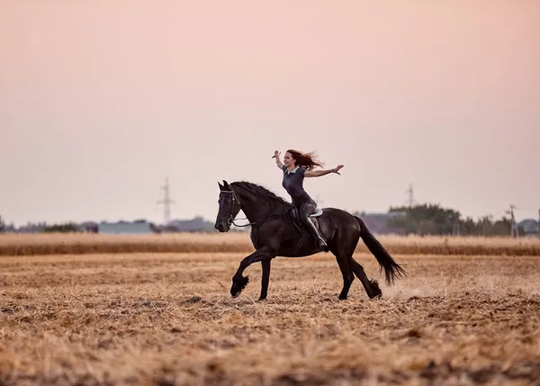 Chica Montando Caballo Frisón Campo Atardecer Fotos de stock libres de derechos