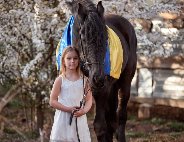 Çiçek açan bir bahçede, Ukrayna bayrağıyla Frizya aygırının yanında güzel küçük bir kız.