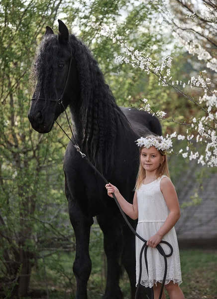 Bahçede bahar çelenginde beyaz saçlı güzel bir kız ve bir Frizya atı.