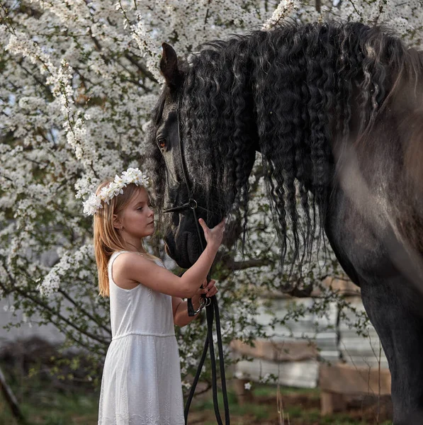 Bahçede bahar çelenginde beyaz saçlı güzel bir kız ve bir Frizya atı.