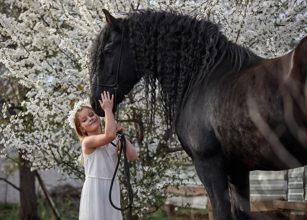 Beautiful Little Girl White Hair Spring Wreath Garden Friesian Horse — Stock Photo, Image