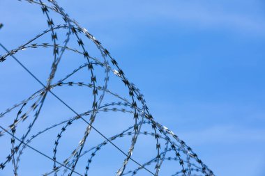 detail of sharp barbed wire against blue sky