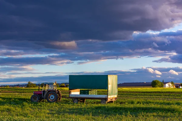 Tractor Trailer Field Evening Light — Foto Stock