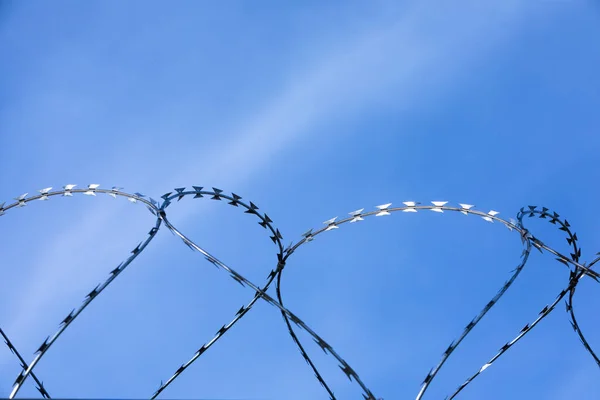 Detail Barbed Wire Blue Sky — Stockfoto