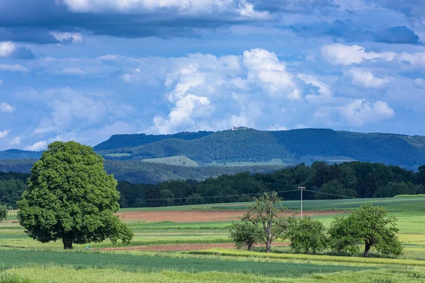 Ağaç ve alb manzaralı manzara manzarası