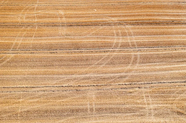 Tracks Harvested Field Summer — Foto Stock