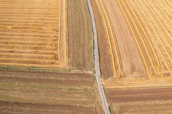 Aerial View Harvested Fields Summer Path Throug — 스톡 사진