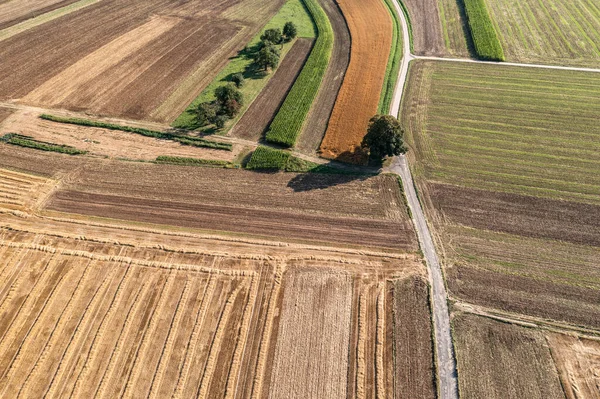 Aerial View Landscape Tree Harvested Fields Late Summer — 스톡 사진