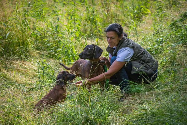 Female Dog Trainer Two Sniffer Dogs Green Meadow — 图库照片