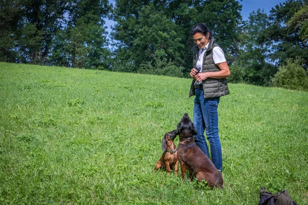 dog trainer gets full attention by her sniffer dogs