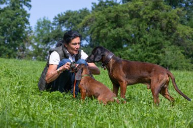 trainer has full attention of her dogs while looking for treats