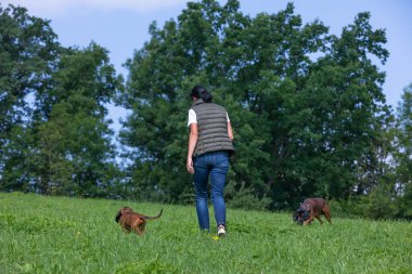dog trainer with two sniffer dogs out in nature on a meadow