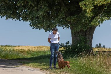 dog trainer ask for attention beside a big tree