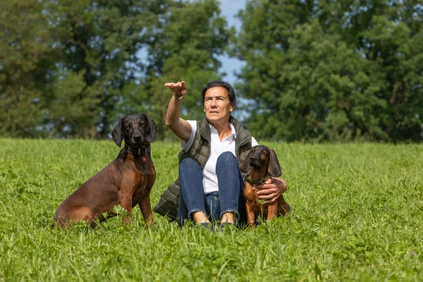 trainer sits on a meadow with two sniffer dogs