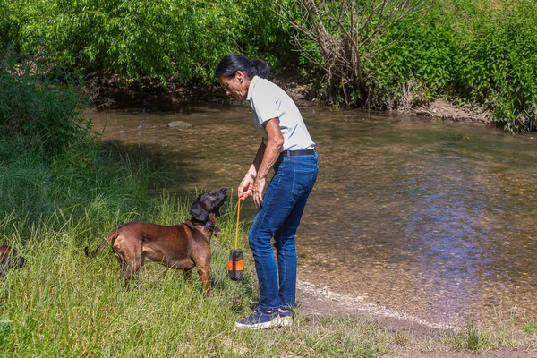 trainer practice with sniffer dog at a river